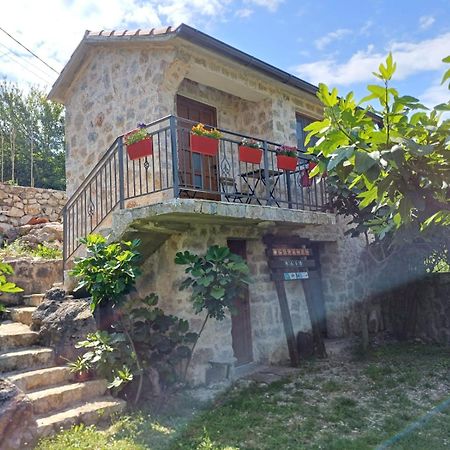 Vila Pegaz Virpazar Εξωτερικό φωτογραφία
