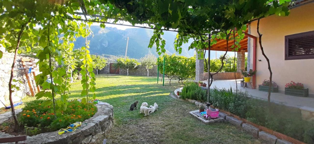 Vila Pegaz Virpazar Εξωτερικό φωτογραφία