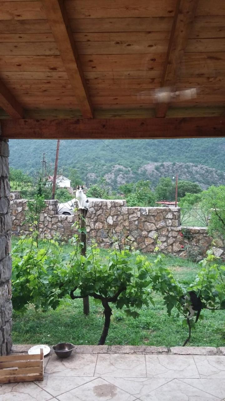 Vila Pegaz Virpazar Εξωτερικό φωτογραφία