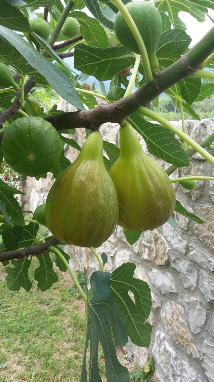 Vila Pegaz Virpazar Εξωτερικό φωτογραφία
